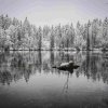 Badersee9