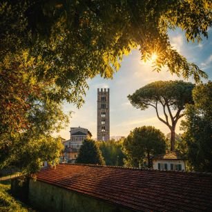 lucca21