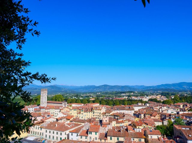 lucca3