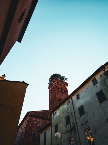 lucca8