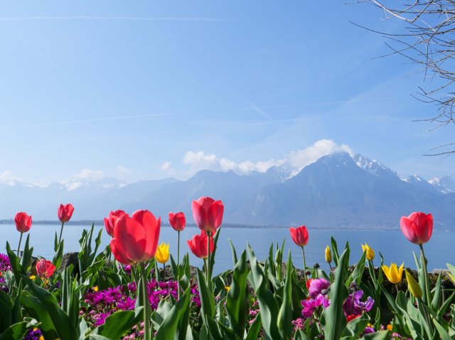 montreux3
