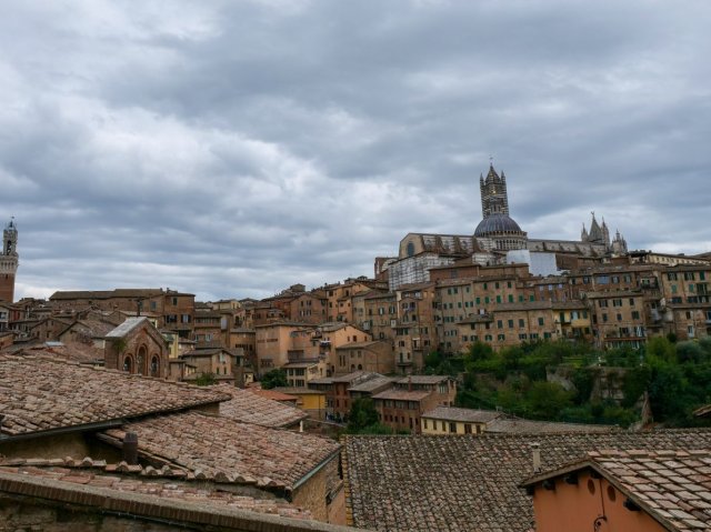 siena