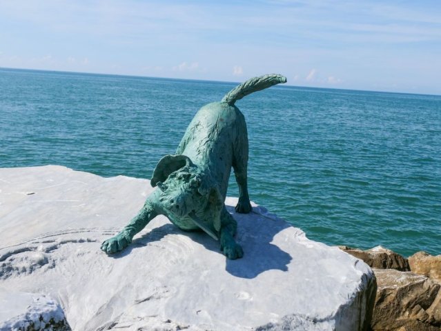 viareggio10