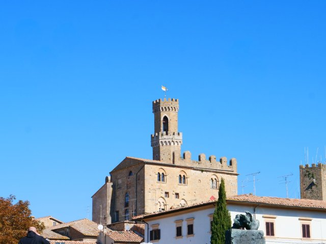 volterra2