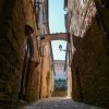volterra17